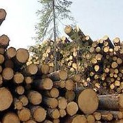 Генеральное проектирование предприятий лесной и деревообрабатывающей промышленност