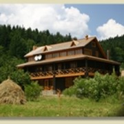 Отдых в уголоке Буковинских Карпат фото