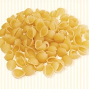 Рожки Раковина фото