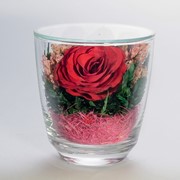 Роза в стекле tm FIORA CuM-Rr1-28960 фото