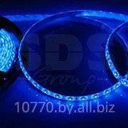LED лента герметичная в силиконе, ширина 8 мм, IP65, SMD 3528, 60 диодов/метр, 12V, цвет светодиодов синий NEON-NIGHT фотография