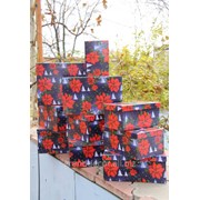 Новогодний набор коробок «Пуанцетия « фото
