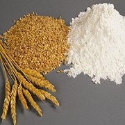 Мука пшеничная первого сорта купить на экспорт. Цена договорная. фото