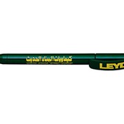 Ручка шариковая полированная Prodir модель DS3 TPР зеленая