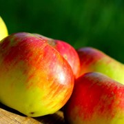 Яблоки натуральные фотография