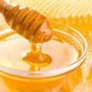 Мёд гречихи и акации