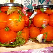 Томаты маринованные, помидоры фотография
