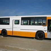 Вкладыши шатунные 0,259106-0180км на автобус Daewoo BS106