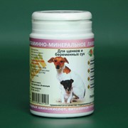 Витаминно-минеральная добавка POLEGEN для щенков и беременных сук фотография