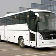 Автобус ГолАЗ - 5291 "Круиз"