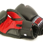 Перчатки боксерские Fighter Sport фото