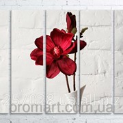 Модульна картина на полотні Червона квітка в білій вазі код КМ100150(150)-032 фотография