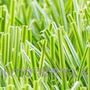 Искусственная трава фотография
