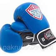 Перчатки боксерские тренировочные Pak Rus 10 oz (пара)
