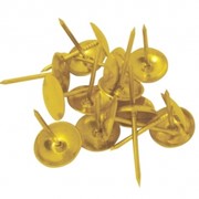 Гвоздики (100шт.) золото фото