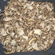 Белые сушенные грибы