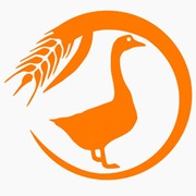 Комбикорм «Эко-птичка» для гусей фото