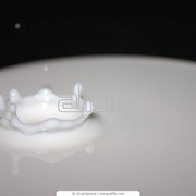 Молоко концентрированное фото