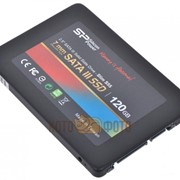 Накопитель SSD SiliconPower S55 120Gb (SP120GBSS3S55S25) фотография