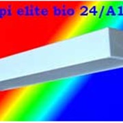 Фитосветильник SNeppi elite bio 370/50/220/А15 Sever фото