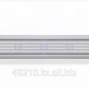 Промышленный светодиодный светильник ПСС КТ 25 (250*106*57)