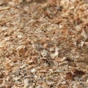 Утилизация и обработка древесносодержащих отходов, отходы обработки натуральной чистой древесины, незагрязненные опасными веществами (упаковка, тара, опилки, стружка, обрезь) фото
