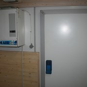 Сдаю в аренду морозильные камеры в Минске фото