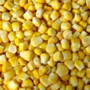 Кукуруза сахарная свежемороженая фото