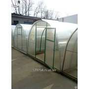 Теплица Усадьба К 8х3х2,1 (карк. + полик.) фото