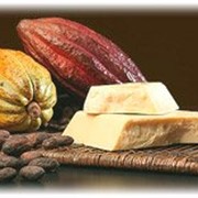 Какао-масло дезодорированное (JB Сосоа, ADM) для производства шоколада фото