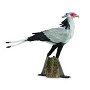 Птица секретарь размер L 88796 b фото