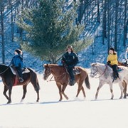 Зимние конные прогулки фото
