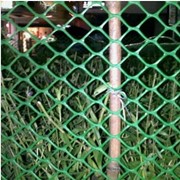 Сетка-забор 30х30мм 1,5х30м фото
