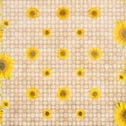 Клеенка столовая № 103 фото