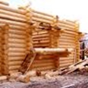 Строительство домов из дерева фото