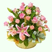 Растения в плетеных корзинах фото