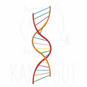 Лесенка ДНК фото