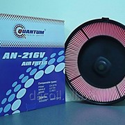 AN-216 Воздушный фильтр Quantum QAN216 фото