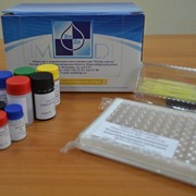 Тест-система иммуноферментная фото