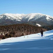 Лыжный тур Уральский лыжный 5 дней фото