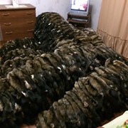 Шкурки соболя наборами фото