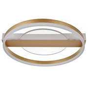 Люстра с ПДУ 1343/2 LED 100Вт 3000-6000К золото 52х50х9 см фото