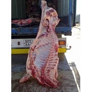 Мясо говяжье полутуши глубокой заморозки фотография