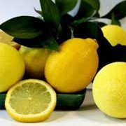 Лимоны опт и розница