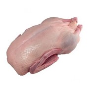 Мясо утки охлажденное фото