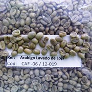 Кофе Арабика «Loja» (высокогорный) зеленый сырой фото