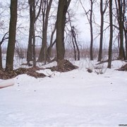 Крюковщина Місто сонця 8 соток. Киево-Святошинский район. Купить землю. Риелтор: Владимир Гайдамачук фото