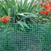 Сетка садовая пластиковая фото