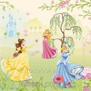 Фотообои “Princess Garden“ 127х184 1-417 2000000404608 фото