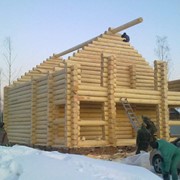 Производство домокомплексов из калиброванного бревна. фото